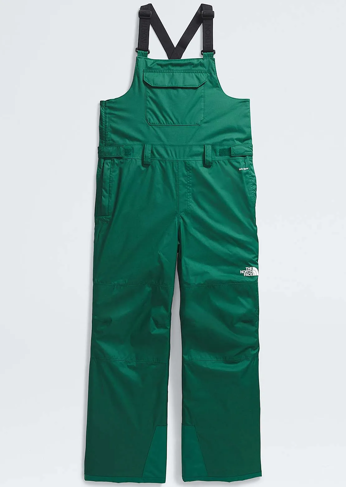 The North Face Junior Freedom Insulated Bib Pant