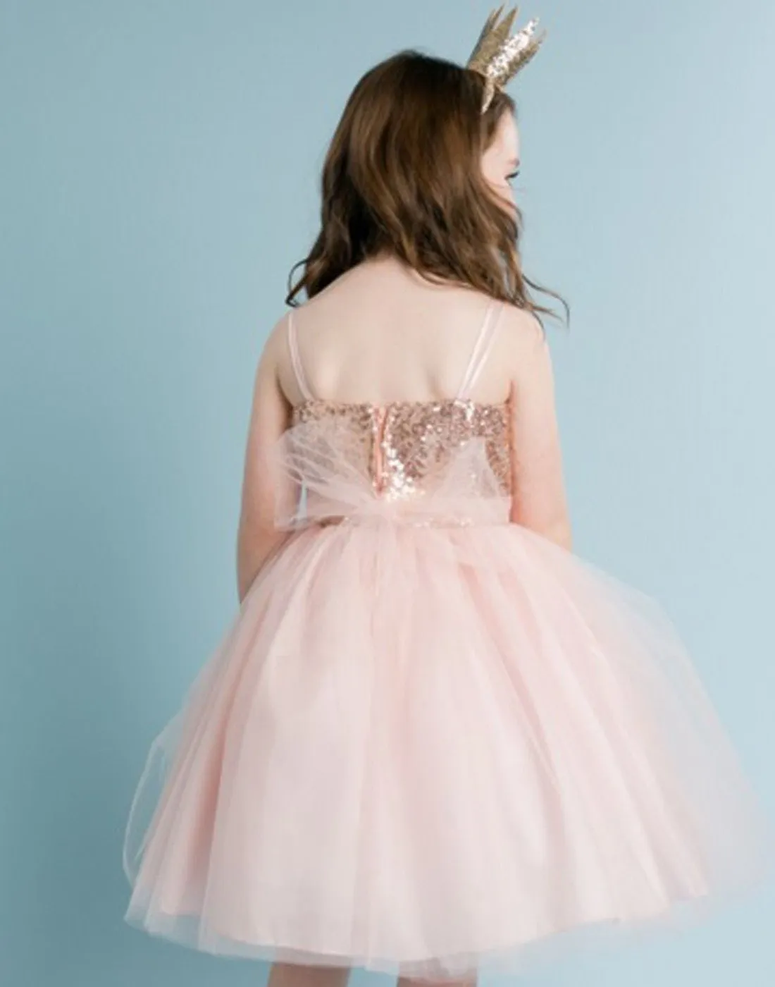 Twinkling Sequined Bodice and Tulle Overlay Skirt Dress - Blush